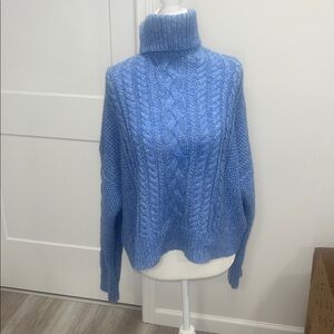 Jcrew women’s wool knit turtleneck sweater